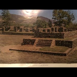 Meet your Posher, Janeth